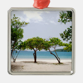 Magens Bay, USVI Julgransprydnad Metall