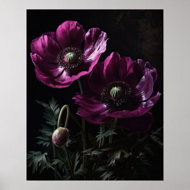 Magenta Anemone Flowers Art Print Poster (Framsidan)