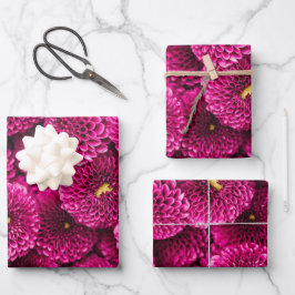 Magenta Chrysanthemum Blommigt Wrapping Papper