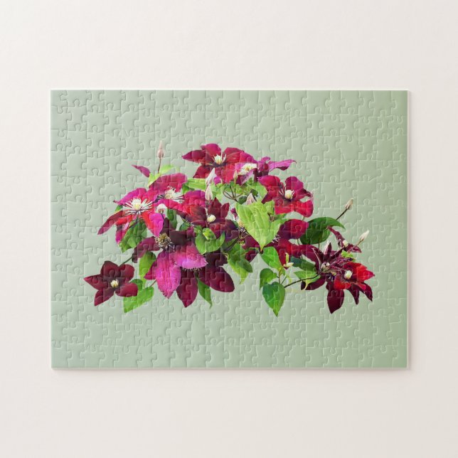 Magenta Clematis med vin Pussel (Horisontell)