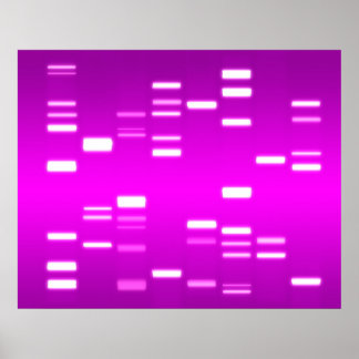 MAGENTA för Rosa av DNA-kod Poster