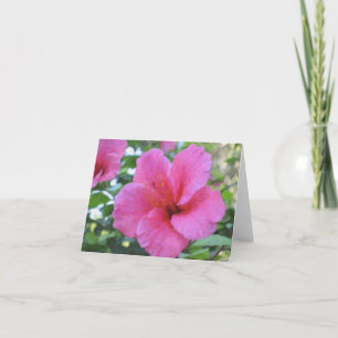 Magenta Hibiscus-anteckningskort Kort