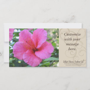 Magenta Hibiscus-fotokort