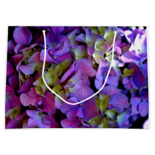 Magenta Lila blue gult Hydrangeas blommor