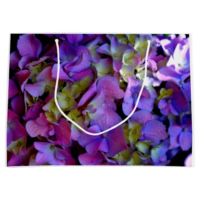 Magenta Lila blue gult Hydrangeas blommor (Framsidan)