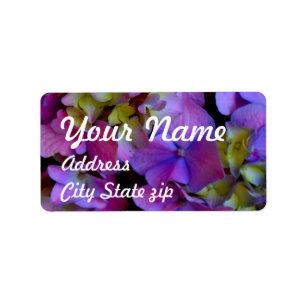 Magenta Lila blue gult Hydrangeas blommor Adressetikett