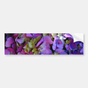 Magenta Lila blue gult Hydrangeas blommor Bildekal