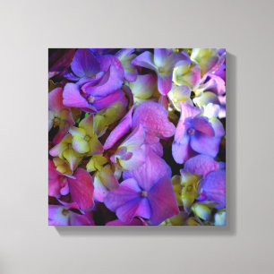 Magenta Lila blue gult Hydrangeas blommor Canvastryck