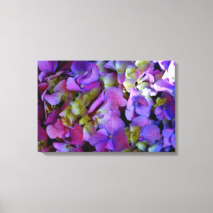Magenta Lila blue gult Hydrangeas blommor Canvastryck