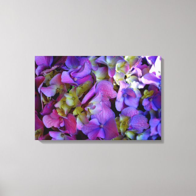 Magenta Lila blue gult Hydrangeas blommor Canvastryck (Framsida)