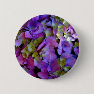 Magenta Lila Hydrangeas Lila Blue gult Knapp