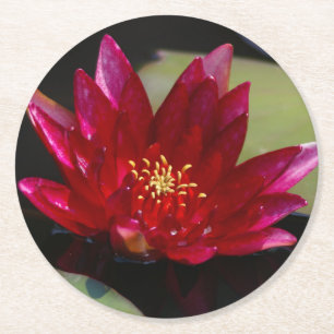 Magenta Lotus Näckros Underlägg Papper Rund