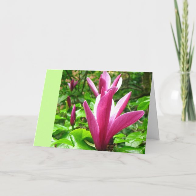 Magenta Magnolia-hälsningskort Kort (Framsida)