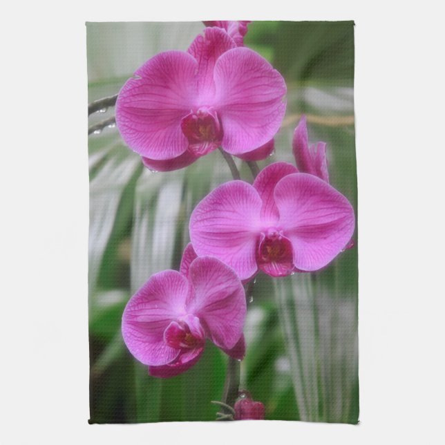 Magenta Orchids Kitchen Towel Kökshandduk (Vertikal)