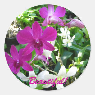 Magenta Orchids Runt Klistermärke