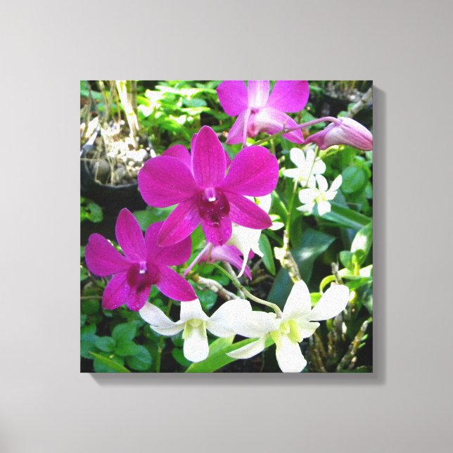 Magenta Orchids Wrapped Canvas (Framsida)