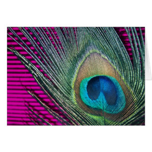Magenta Peacock med Linjer Hälsningskort