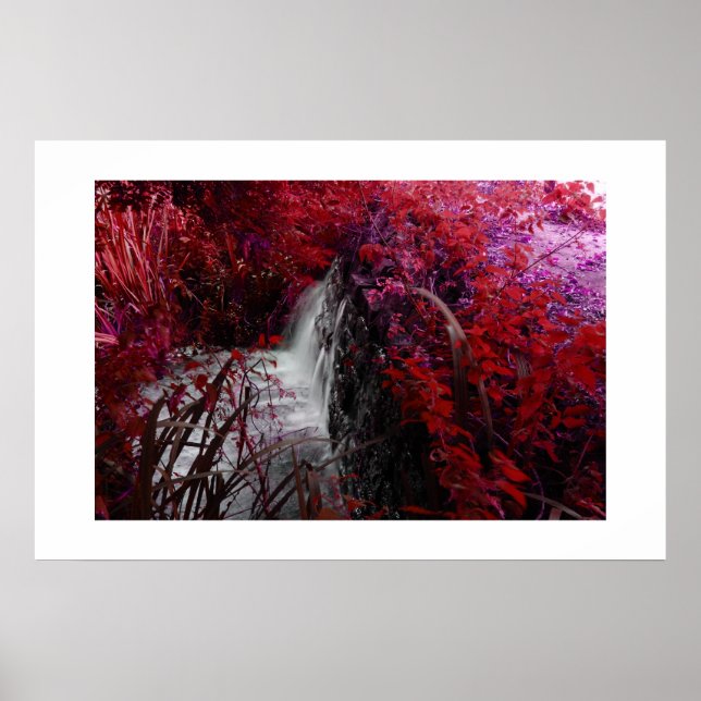 Magenta Poster (Framsidan)