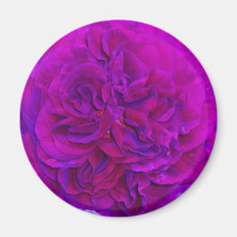 Magenta Ros Puff Magnet