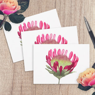 Magenta Rosa Kung Protea Flower Kort