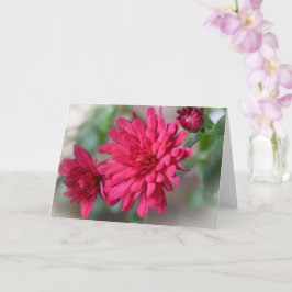 Magenta Rosa Morsa Flowers Art Note Card Kort