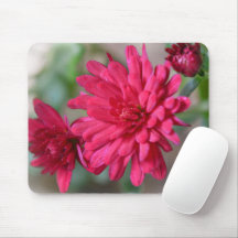 Magenta Rosa Morsa Flowers Mouse Pad