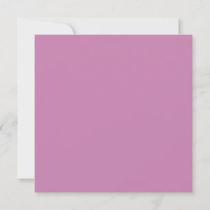Magenta Rosa Vår Säsongen Solid Färg Kort