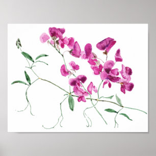 magenta sötärtor, vattenfärg poster