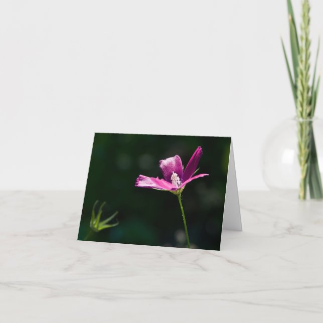 Magentafärgad vildblomma Notecard Kort (Framsida)