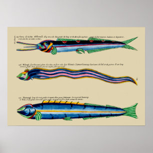 Mager fisk tre på någon bakgrundsaffisch poster