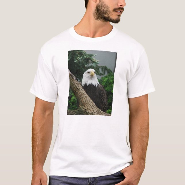 magestic örn som vilar i träd tee shirt (Framsida)