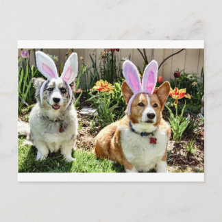Maggie & Chuck Vykort