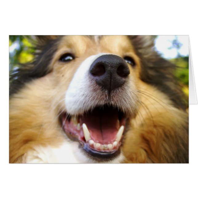 Maggie kort (Framsidan Horizontal)