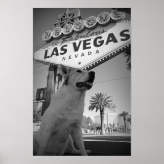 Maggie - Las Vegas-skylten Poster