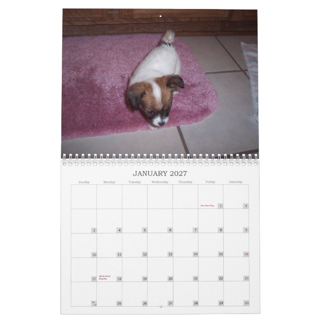 Maggie Mae 2010 kalender (Jan 2027)