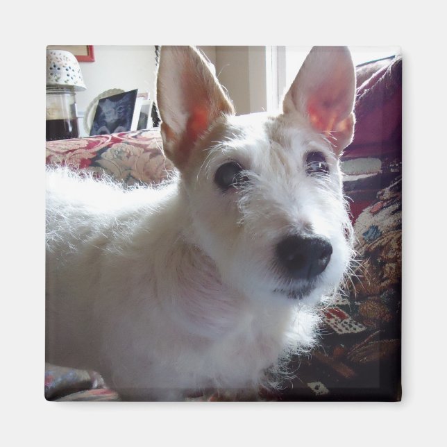 Maggie Mae Magnet (Framsidan)