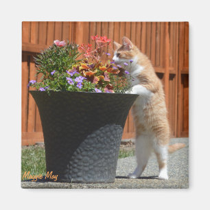 Maggie maj & blommor magnet