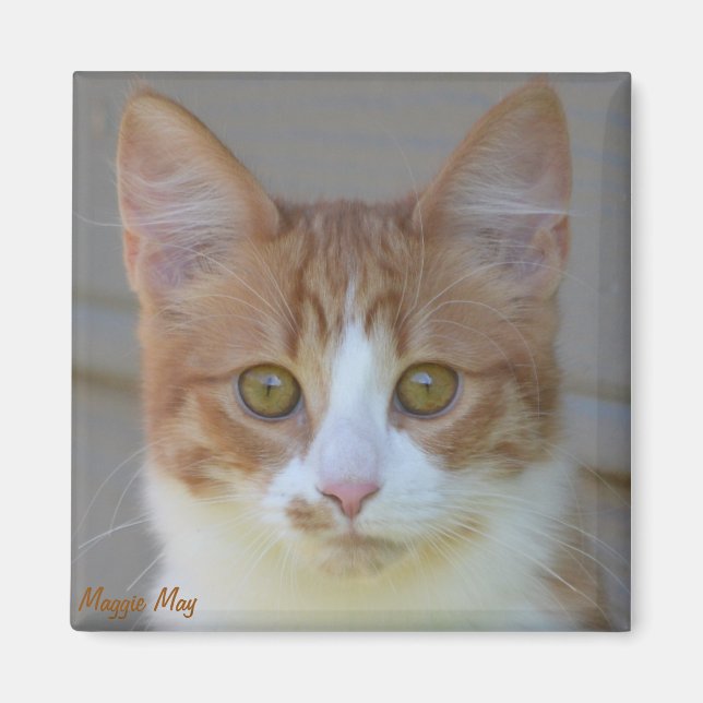 Maggie May Magnet (Framsidan)