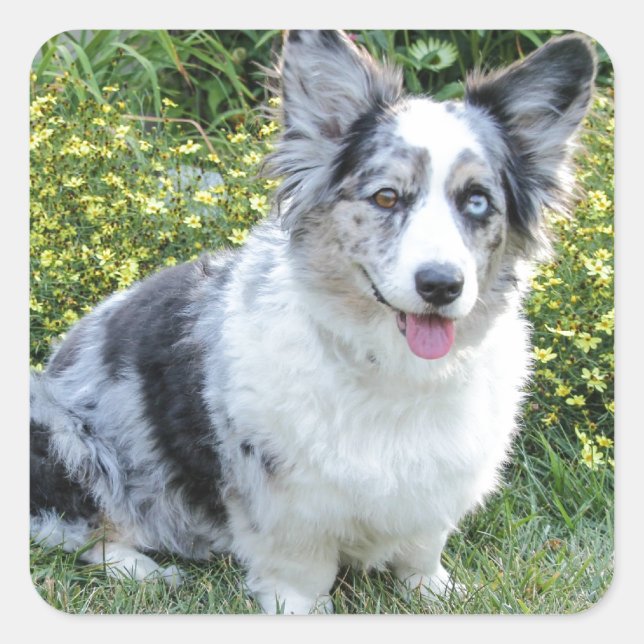 Maggie Mine Fyrkantigt Klistermärke (Framsida)