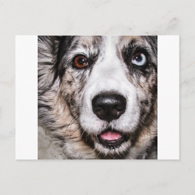 Maggie Vykort (Framsida)