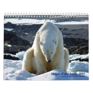 Magi av arktisken kalender