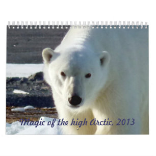 Magi av kickarktisken, 2013 kalender