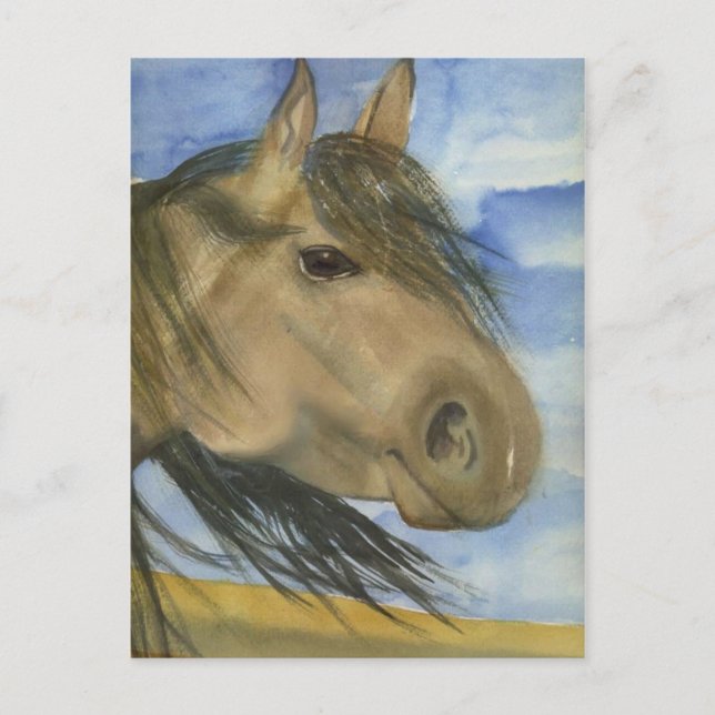 Magic, An American Mustang Vykort (Framsida)