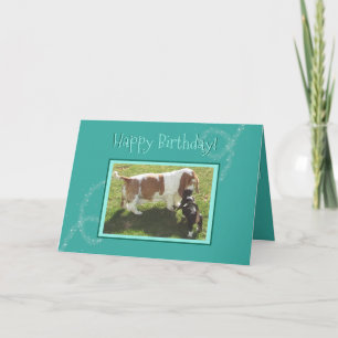 Magic Birthday Card W/Basset Hounds Kort