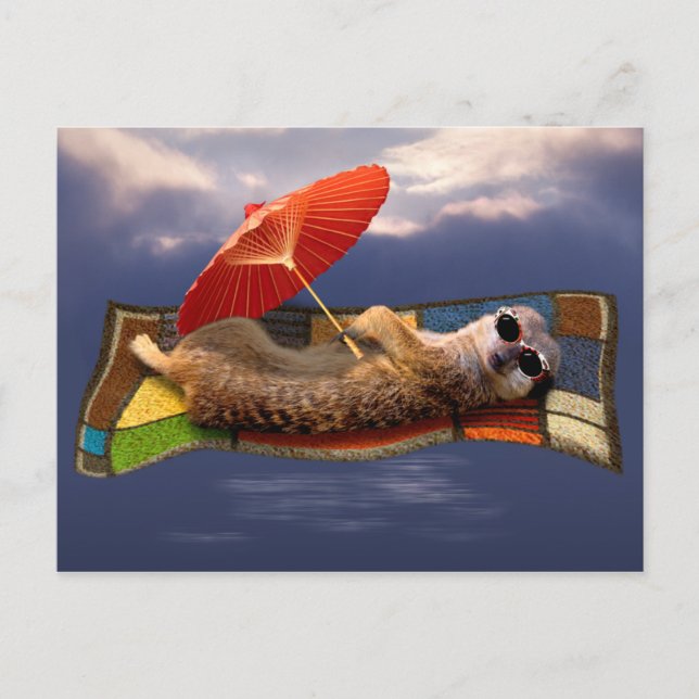 Magic Carpet Ride Postcard Vykort (Framsida)