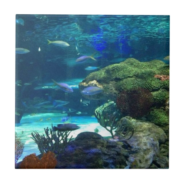 Magic Coral Reef Kakelplatta (Framsidan)