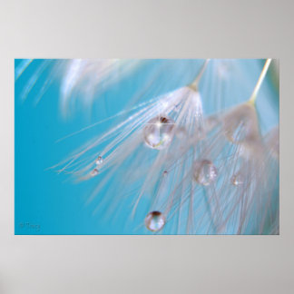 Magic Dandelions Poster