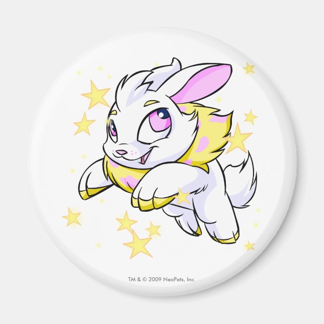 Magic Electric Cybunny Magnet (Framsidan)