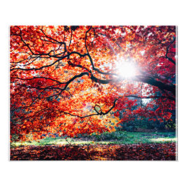 MAGIC FÄRG FOTOTRYCK