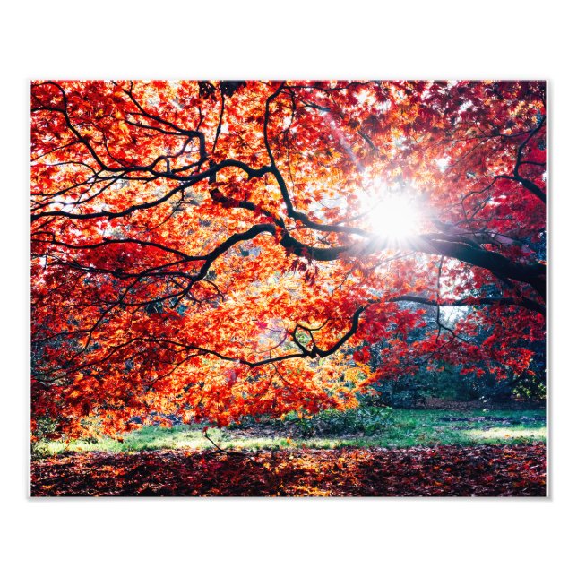 MAGIC FÄRG FOTOTRYCK (Framsidan)